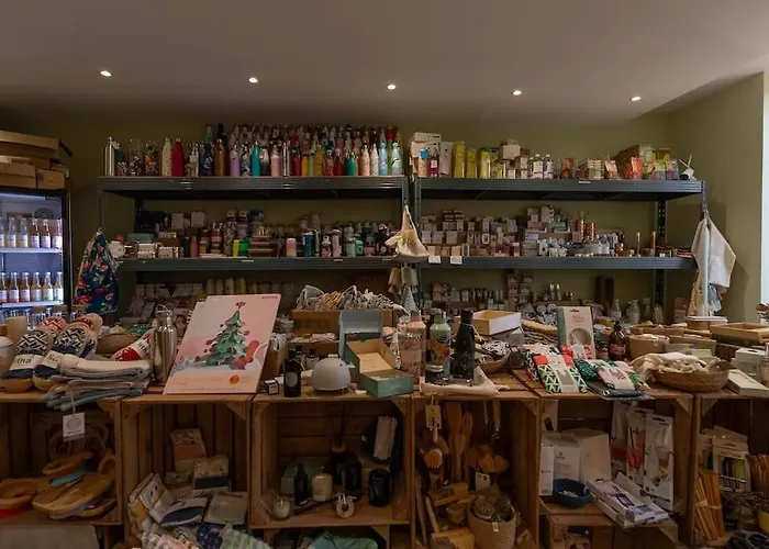 Maison Alternativi - Hyper Centre